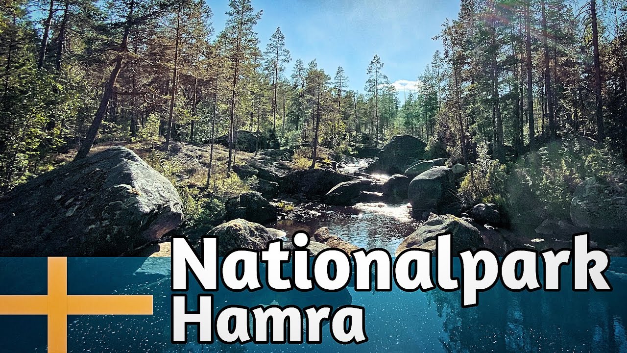 Nationalpark Hamra - Uralte Wälder, Stille Moore und eine kleine wilde Flusslandschaft