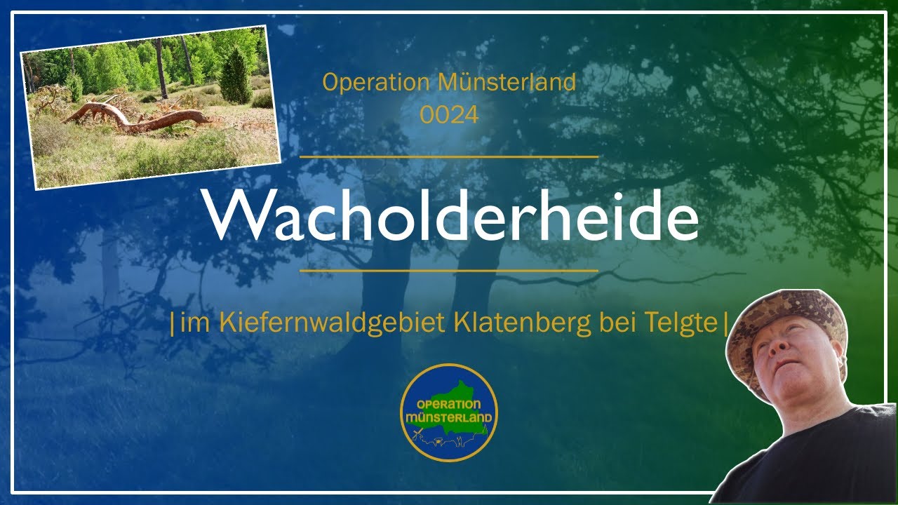Wacholderheide bei Telgte - 0024