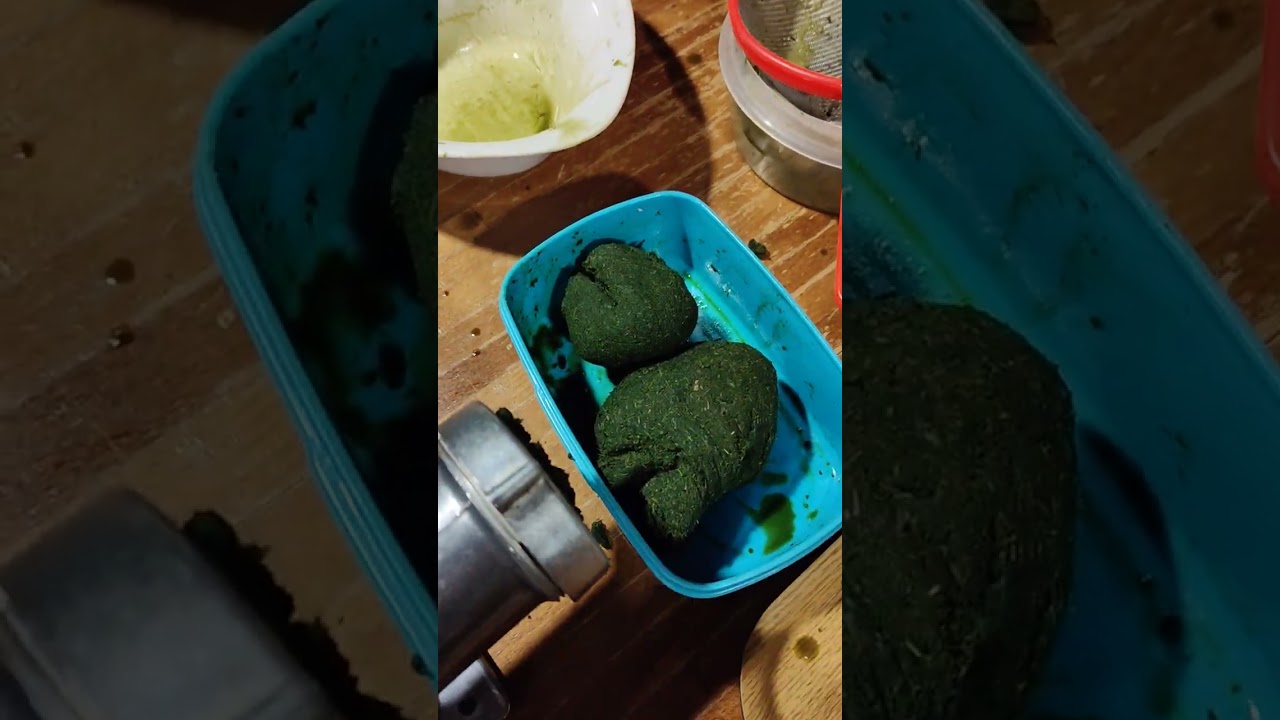 Сок из листьев лопуха от тысячи недугов. Точно помогает при гинекомастии. Его легко добывать самому.
