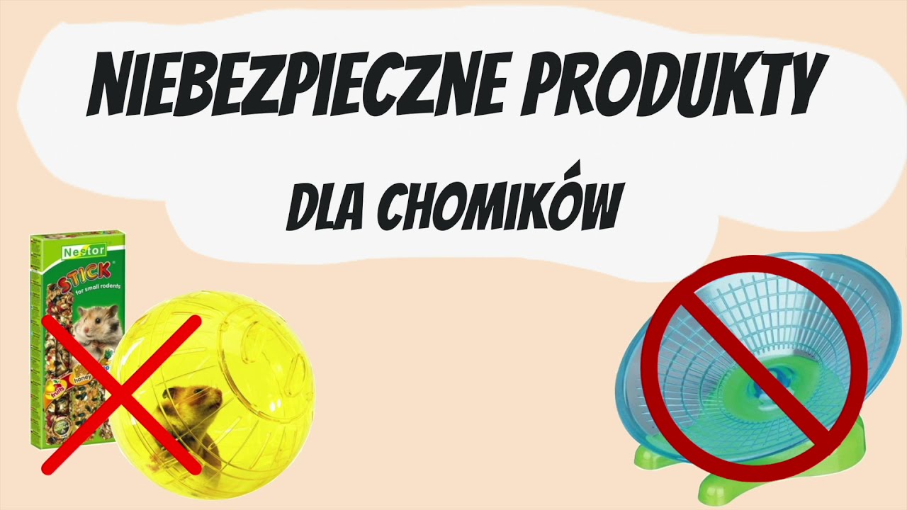 Niebezpieczne Produkty Dla Chomika