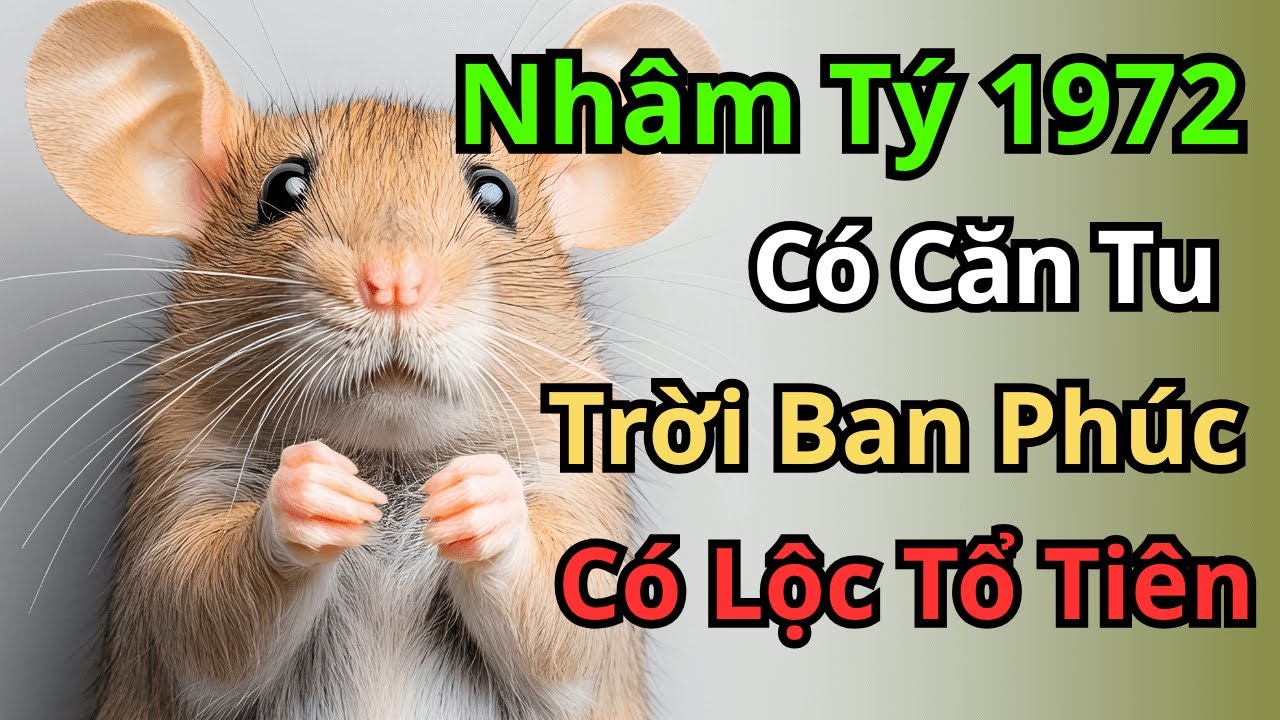 Tử Vi Nhâm Tý 1972: Nhờ Có 