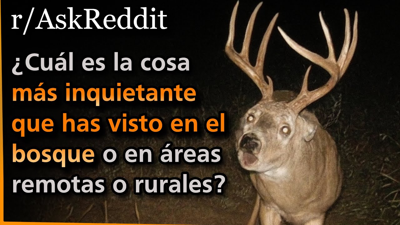 &iquest;Cu&aacute;l es la cosa m&aacute;s inquietante que has visto en el bosque o en &aacute;reas remotas o rurales? Askreddit