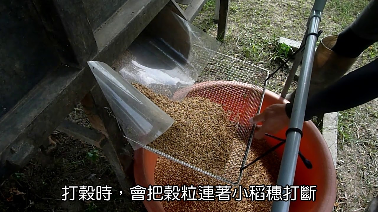 2020.06.24_傳統鼓風機篩稻