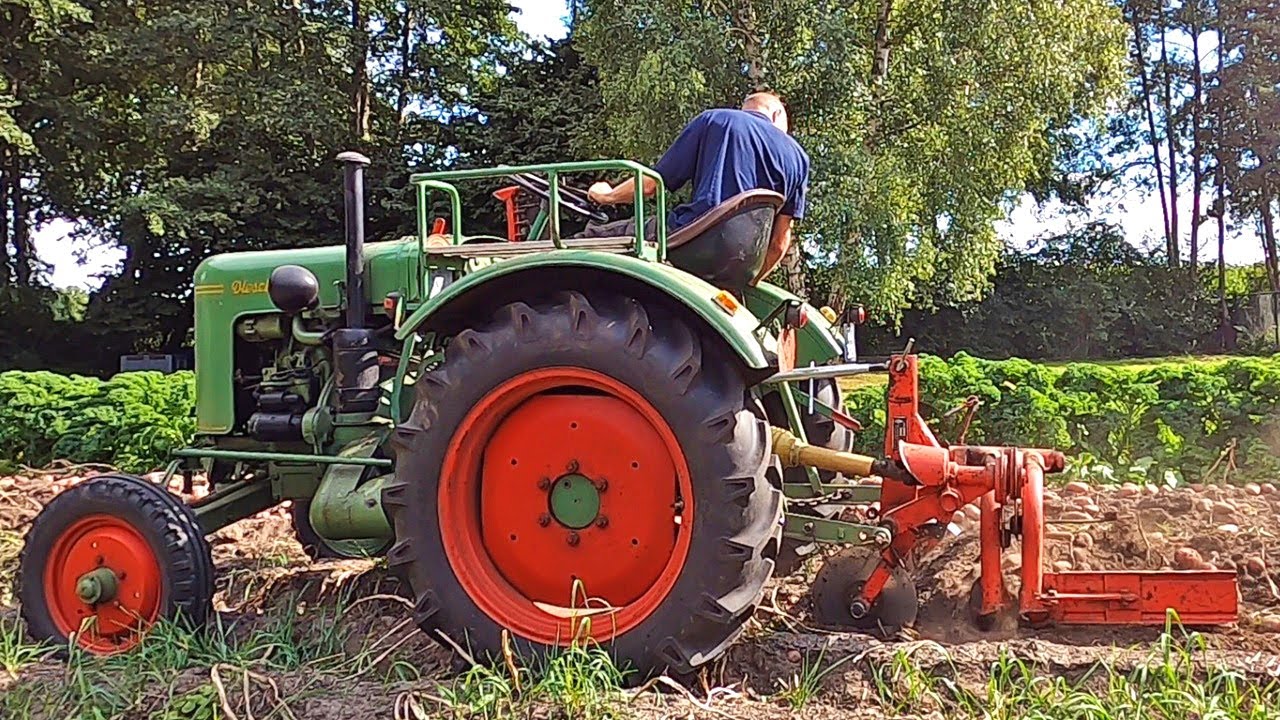 Aardappels rooien met Fendt F15 Dieselross en Helwig Fux rooier | Kartoffeln roden | Potato harvest