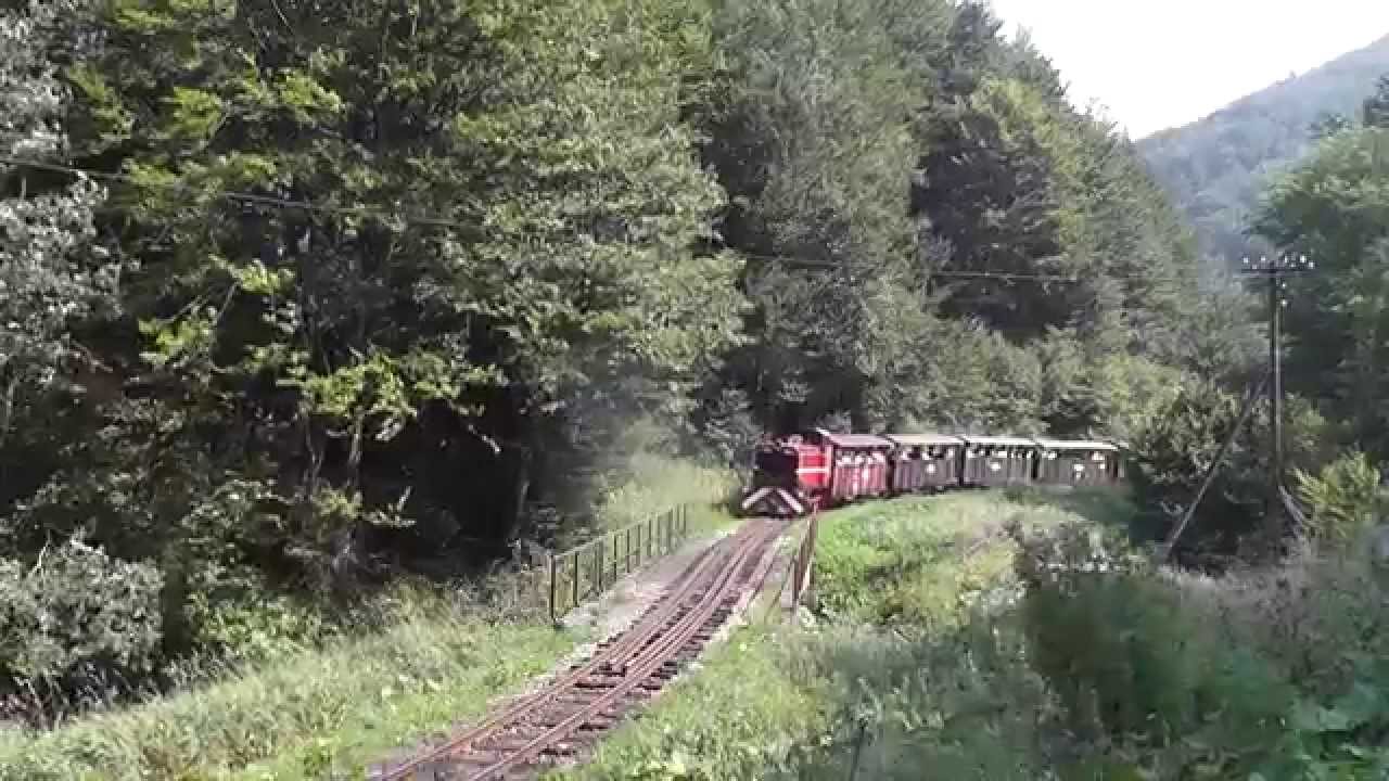 Lyd2-05 Bieszczadzkiej Kolejki Leśnej do Balnicy
