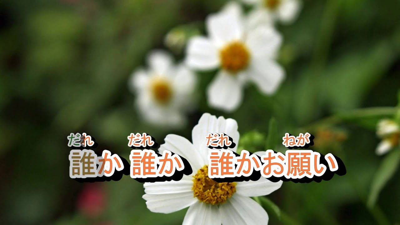 01-020   命あたえて**** 森 進一  音圓 43446 (台語:你是我的生命)