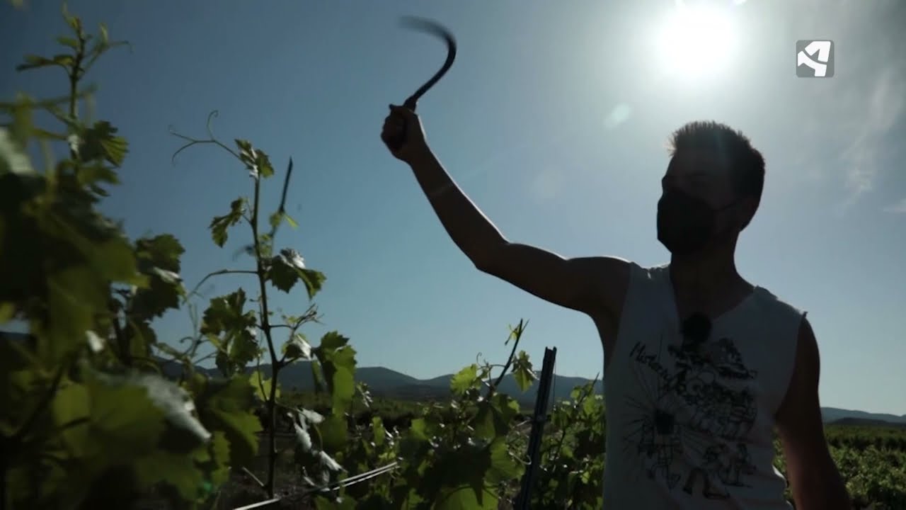 Sandokán o Josema