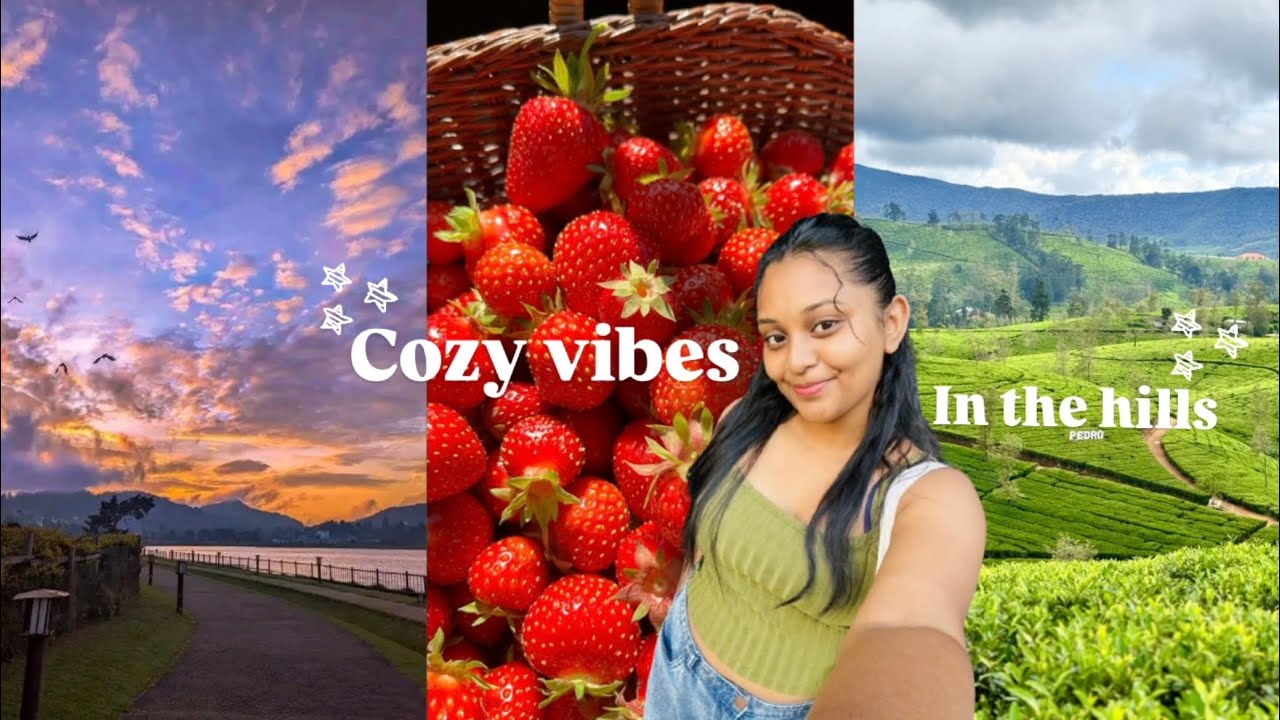 Spend a day in Nuwaraeliya🍓🌨️🍉හුග කාලෙකට මගෙන් හම්බෙන අන්තිම Nuwaraeliya vlog එක🥹💕#foryou #trending 