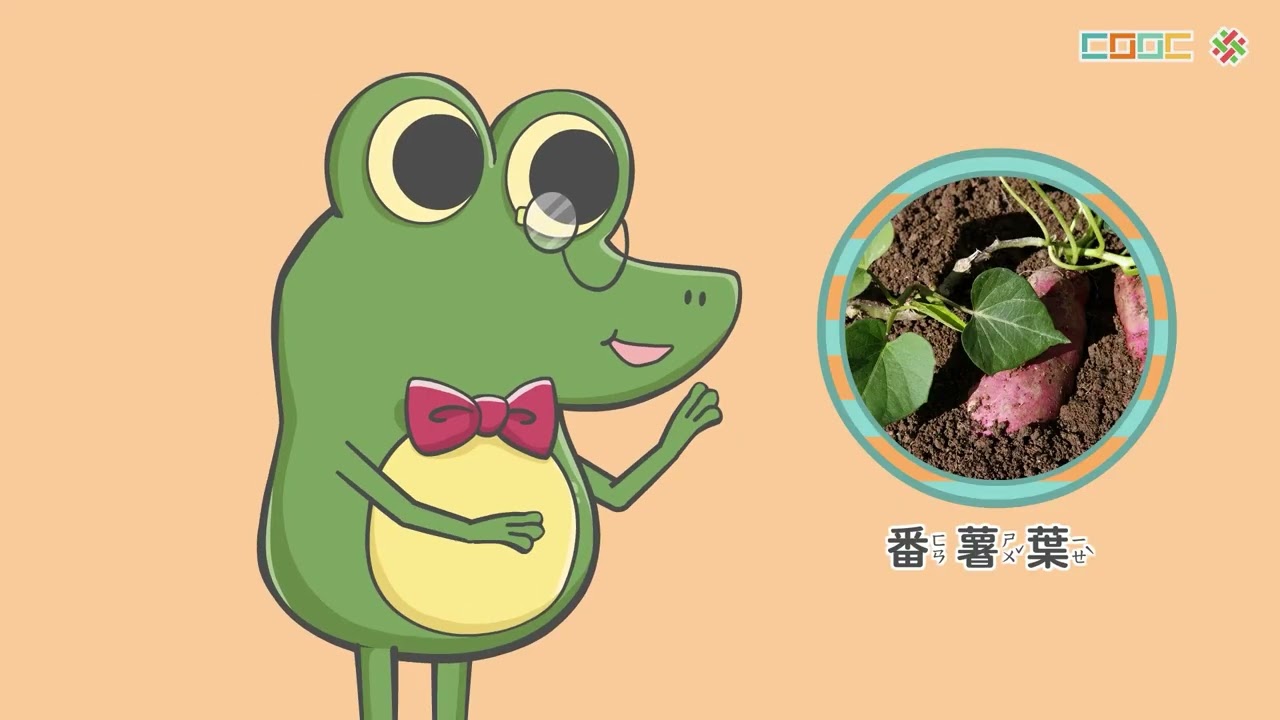 108新課綱｜小三自然｜認識植物的葉子