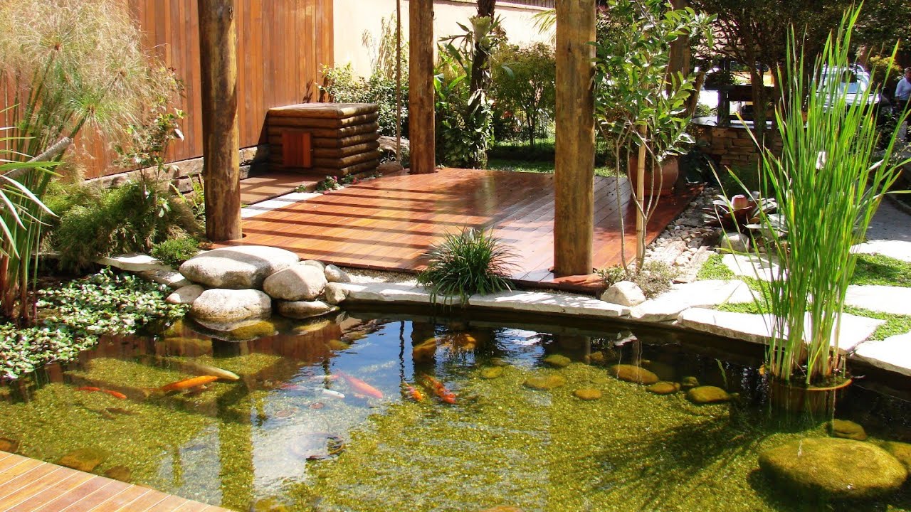 LAGO ORNAMENTAL  Sacha Lubow - Divino Néctar Paisagismo