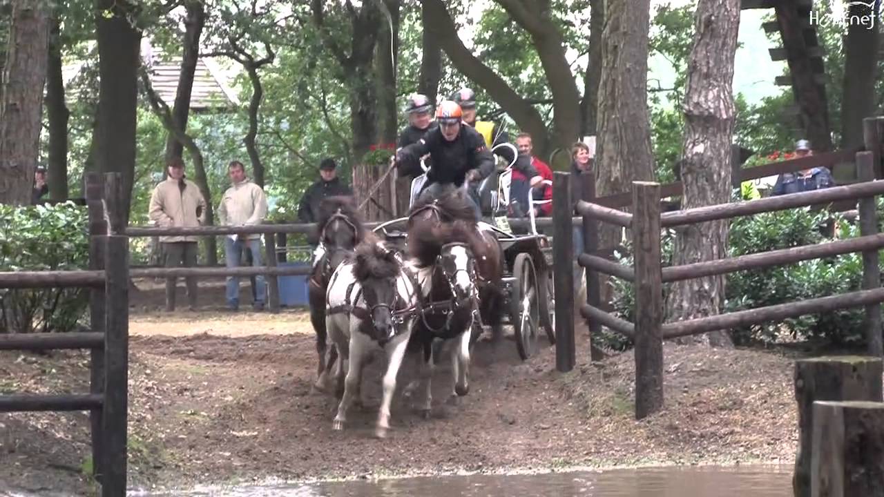 Aart van de Kamp jr. Marathon Pony Driving Salland 2011