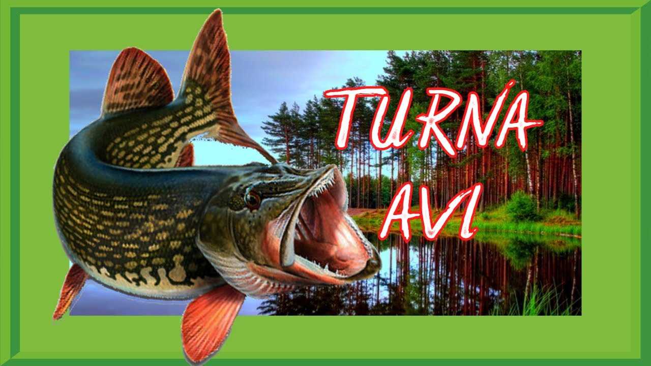 TURNA AVI - PIKE FISH HUNTING - BALIK AVI - PREDATOR FISHING - MONSTER FISH - BALIKTA