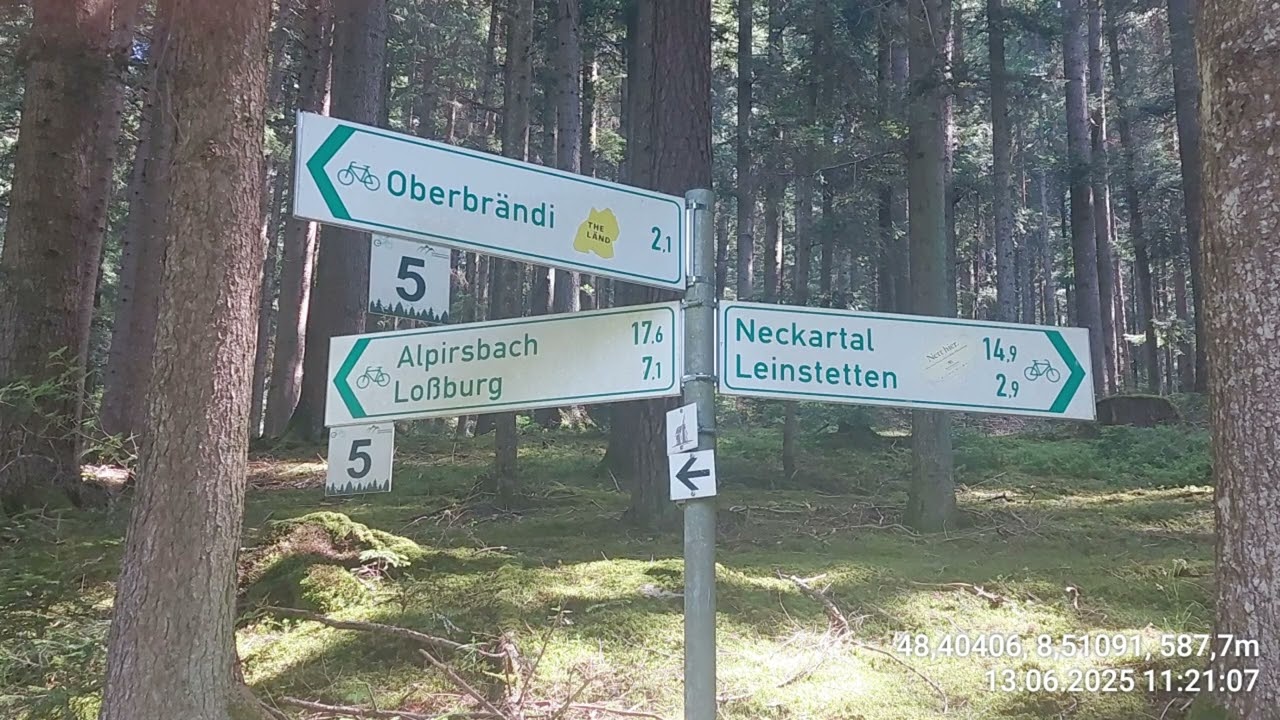 Schwarzwald Tag 4