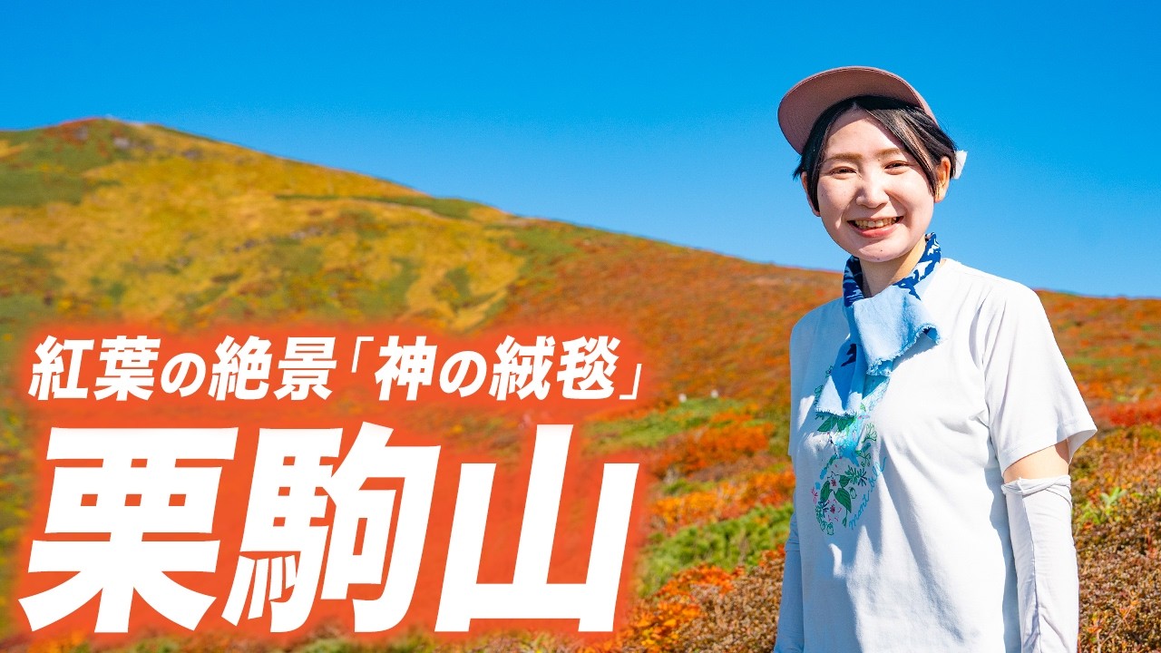 【栗駒山】東北の紅葉名所「神の絨毯」へ！最短の中央コースで行く日帰り家族登山