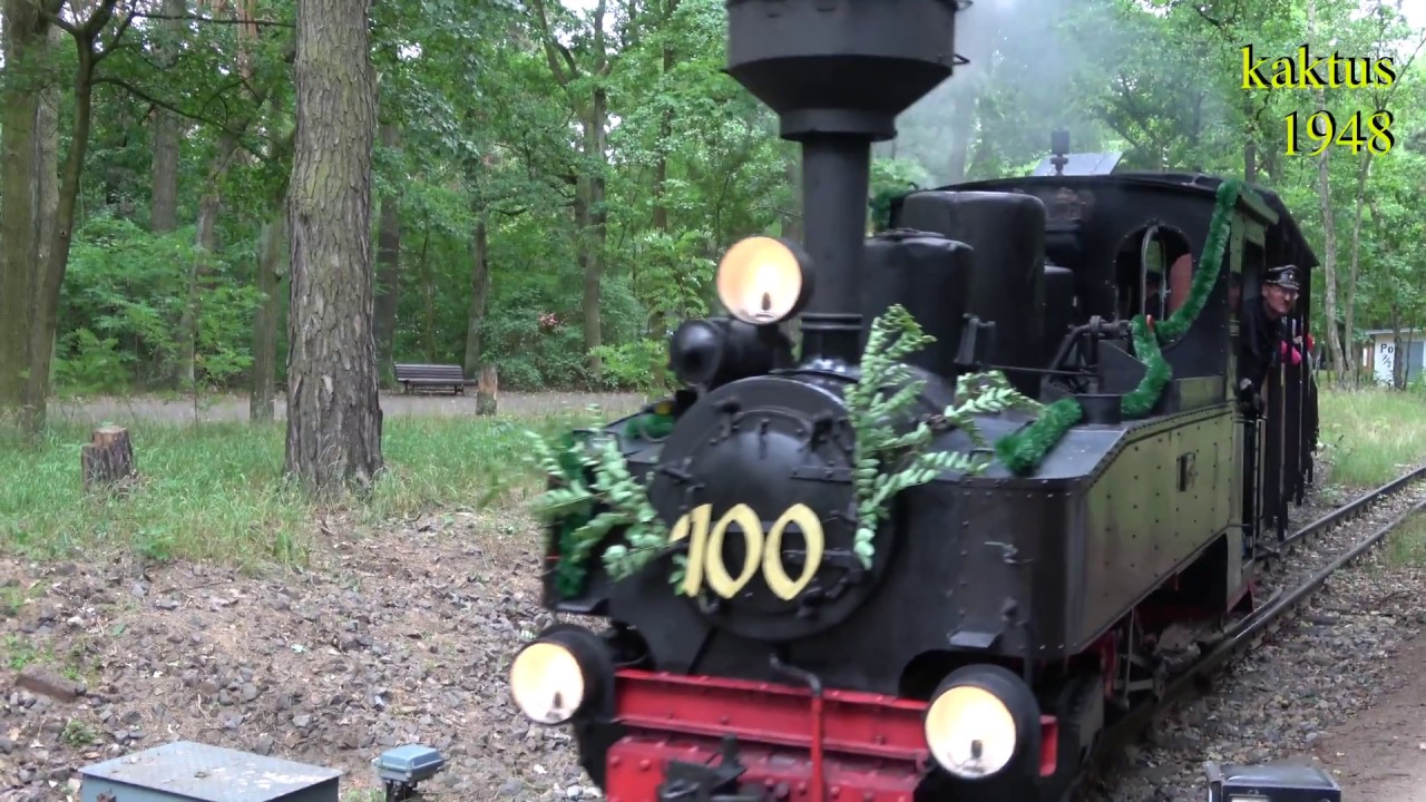Parkeisenbahn Wuhlheide -100 Jahre Brigadelok 1138 -23.6.2018