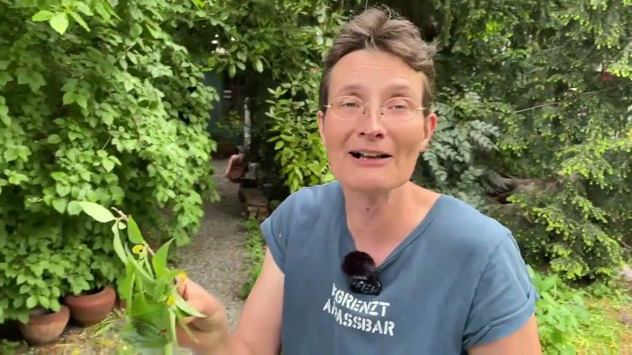 Sammelbrutableger bilden - Live von Pias Bienenstand - 7.5.