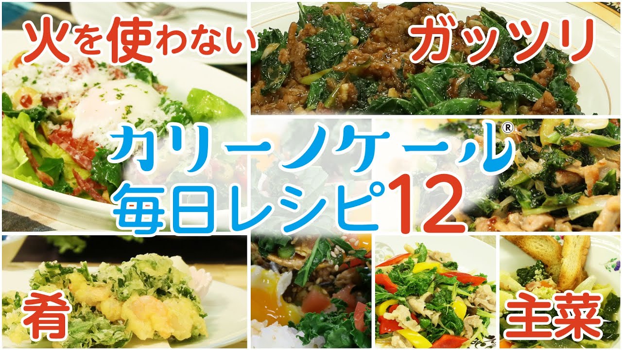 【毎日レシピ】カリーノケール、火を使わないレシピ〜ガッツリ系、主菜まで１２品一挙見！