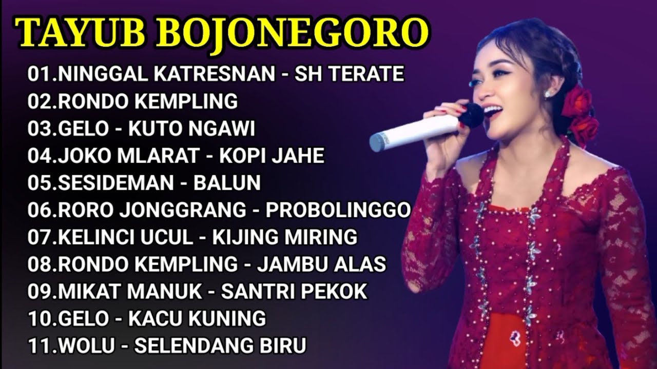 TAYUB BOJONEGORO BASS GLERR | Service Amplifier