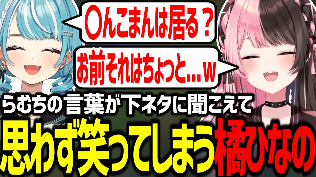 らむちの下ネタに聞こえる発言に気付いて思わず笑って台パンする橘ひなのｗ【ぶいすぽ/白波らむね/橘ひなの/ボドカ/渋谷ハル/白雪レイド/LOL/切り抜き】
