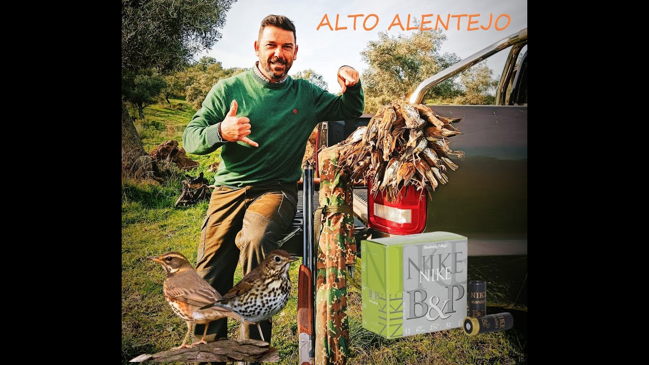 CAÇA AOS TORDOS , ALTO ALENTEJO.