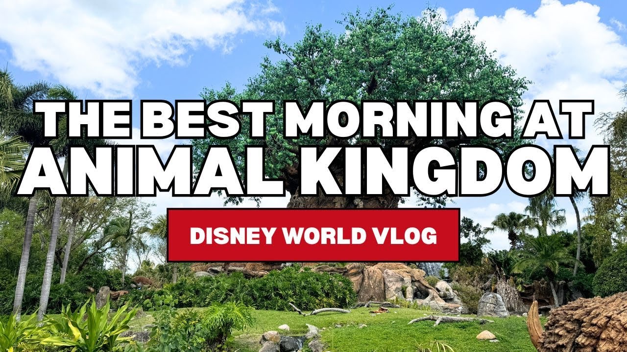 Animal Kingdom Morning Itinerary: Walt Disney World Vlog