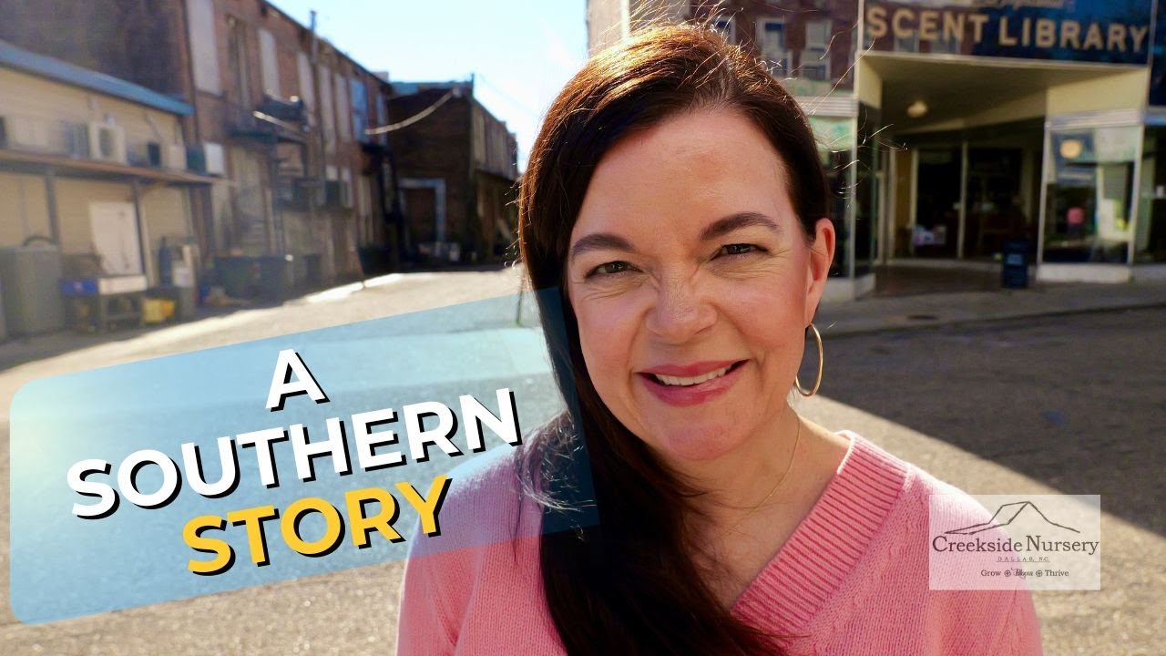 История Юга | За кулисами чего-то особенного