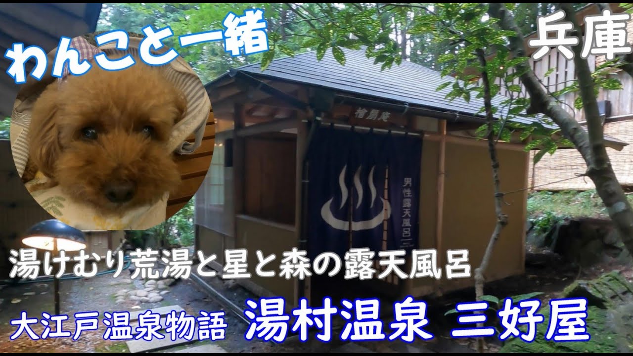 【大江戸温泉物語 湯村温泉 三好屋】わんこと一緒に泊まれる温泉宿、秘湯気分を味わえる森林露天風呂＆郷土料理の創作バイキング