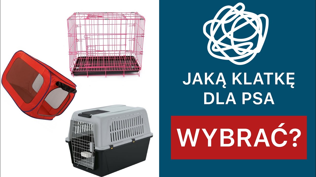 KLATKA DLA PSA - WSZYSTKO CO MUSISZ WIEDZIEĆ