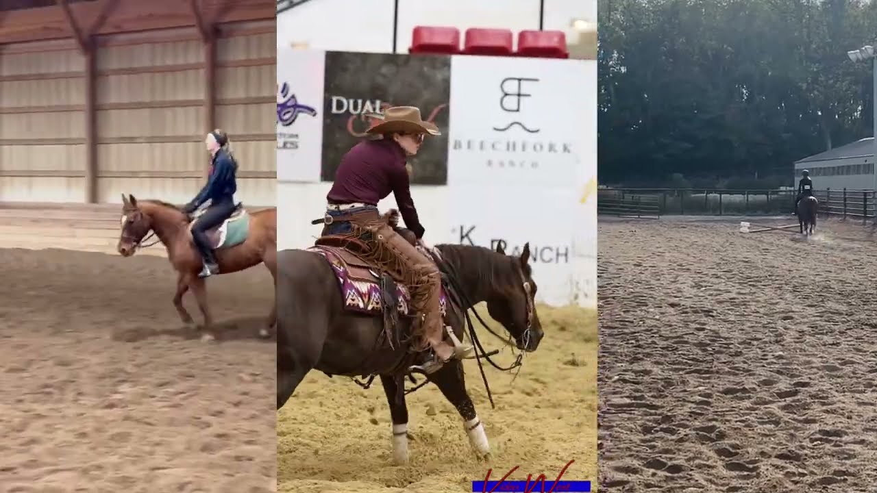 Equine Affaire Versatility 2026 Application