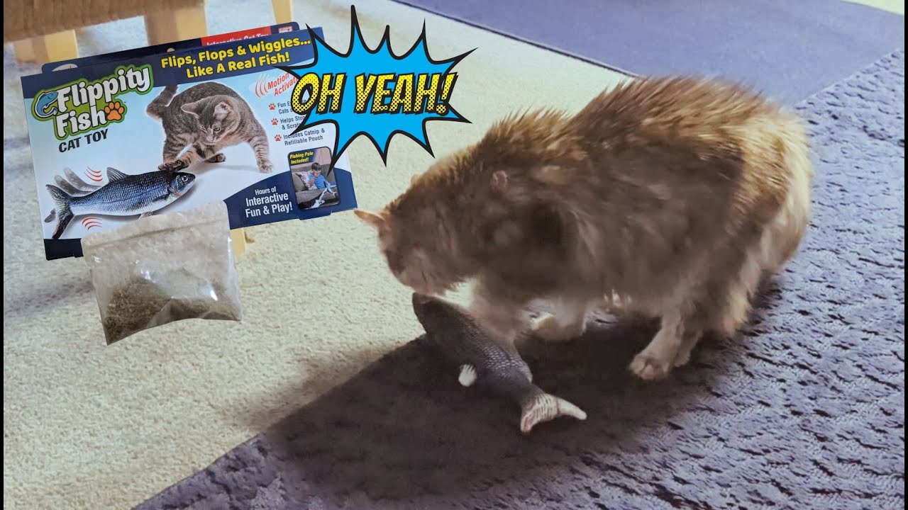 CAT'S interesting REACTION to being exposed to CATNIP for the VERY FIRST TIME!