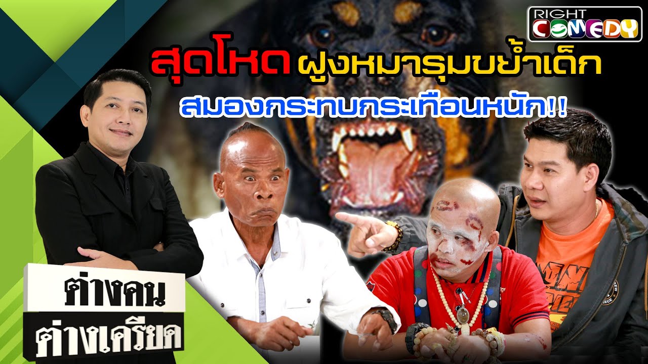 แฉวินาทีหมาหมู่รุม ! รอดแต่หวิดต๊อง | ต่างคนต่างเครียด | เรท 18+-
