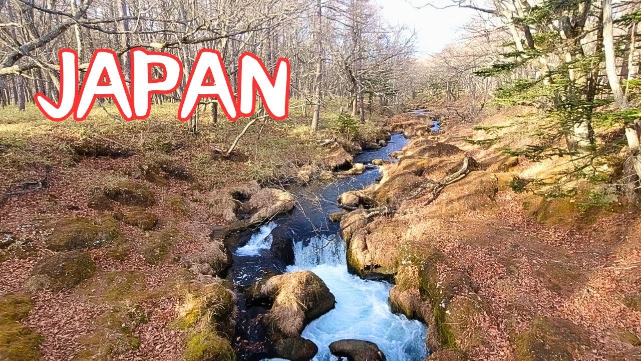 Japan's Winter Wilderness - 2 Hours From Tokyo (Near Nikko) + Hotel and Food Cost