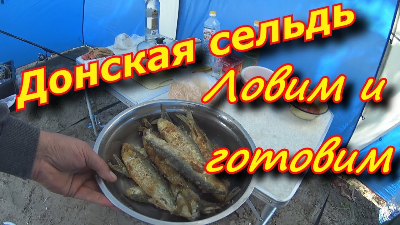 Донская селёдка . Ловим Жарим Донскую Селёдку на реке Дон .х Каныгин .как ловить селёдку