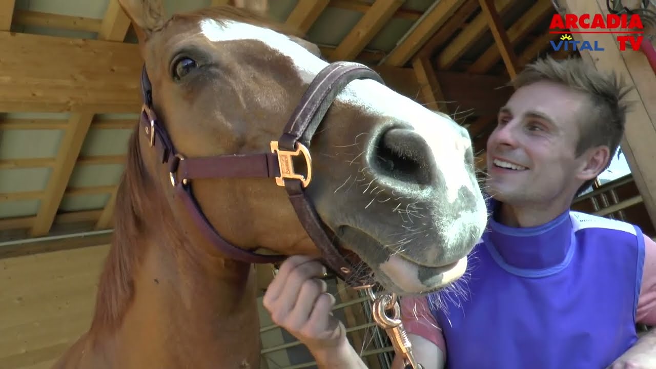 Schmerzhafte Hufrehe bei Pferden 🐎 Ursachen, Symptome & Behandlung