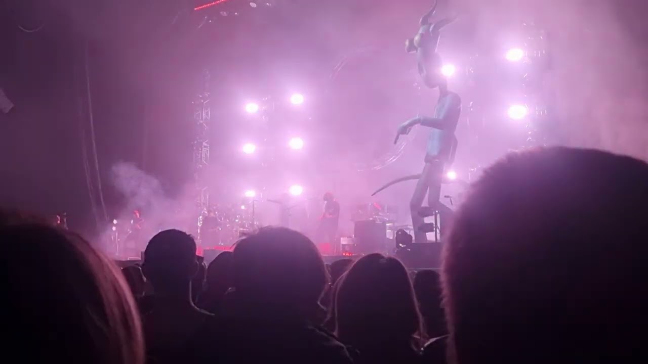 Australian Pink Floyd Glasgow 