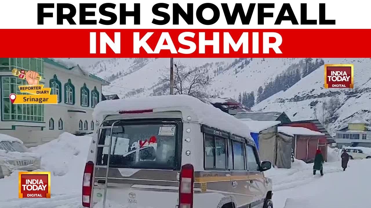 Fresh Snowfall In Kashmir: Cold Wave Returns, Soldiers Play Snow Holi At LoC | India Today News