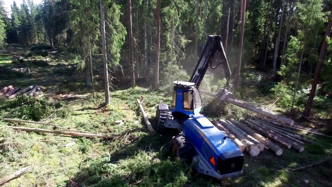 Rottne H20B Skogab