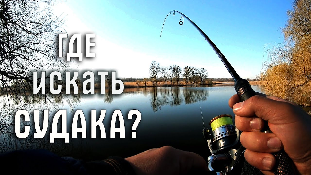 Как найти и поймать судака. Ловля судака на джиг весной. Советы рыболова любителя.