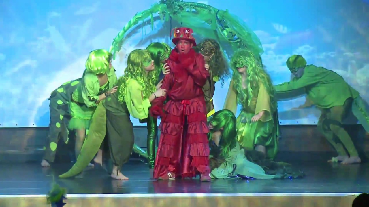Arielle die Meerjungfrau von B&G Dance Company  deine Tanzschule M ichaela Majsai