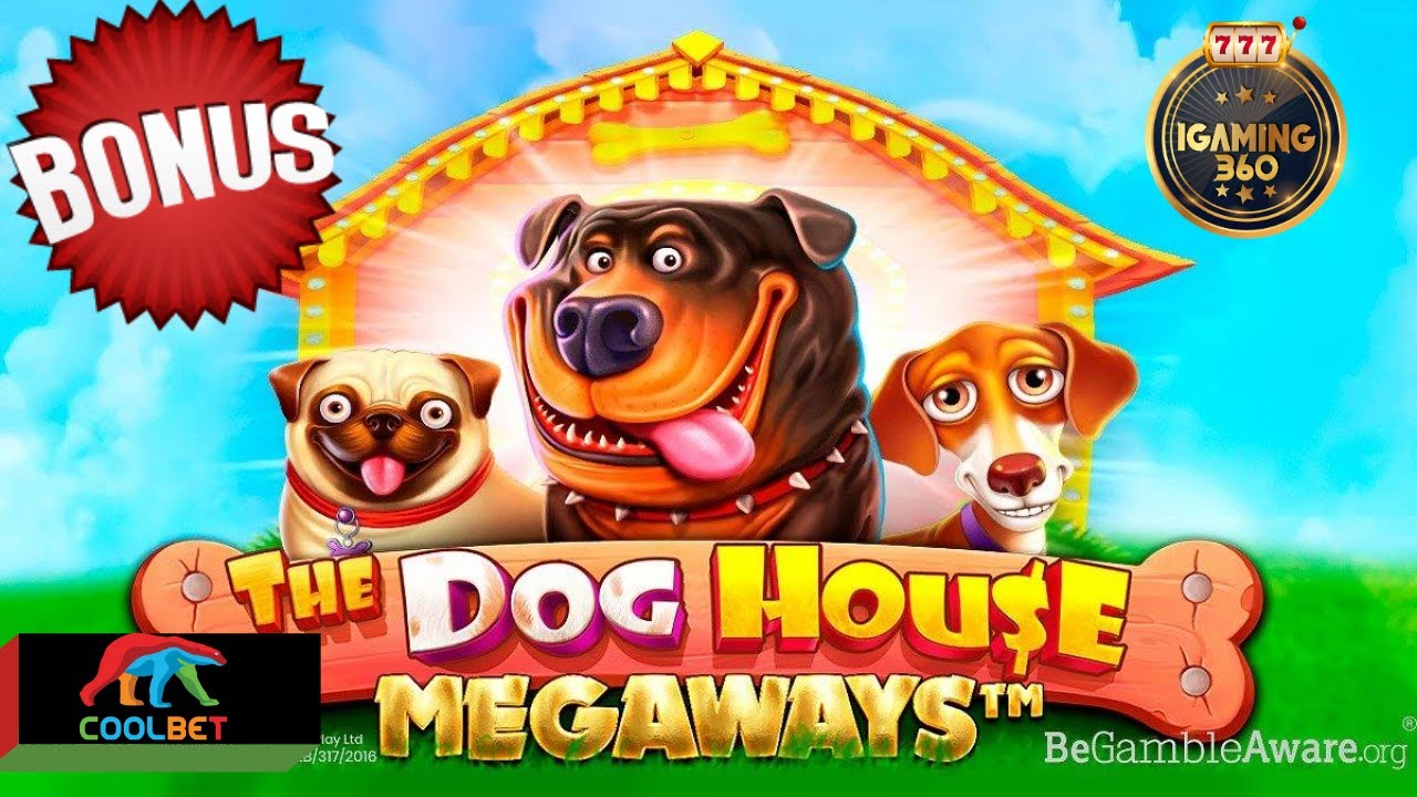 Ladran las ganancias: BIG WIN en The Dog House Megaways  Coolbet Chile
