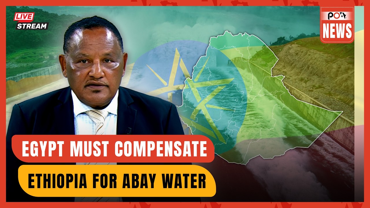 Egypt Must Compensate Ethiopia for Abay Water Resources: Former Water Minister