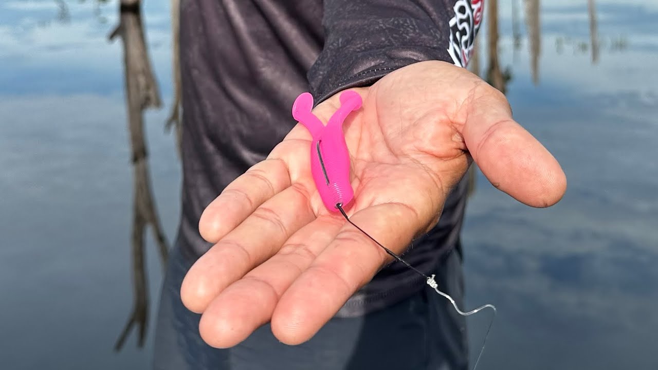 COMO FAZER UMA PESCA DE TRAÍRA COM EFICIÊNCIA