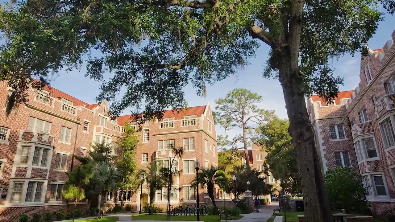 University of Florida - Five Things I Wish I Knew Before Attending