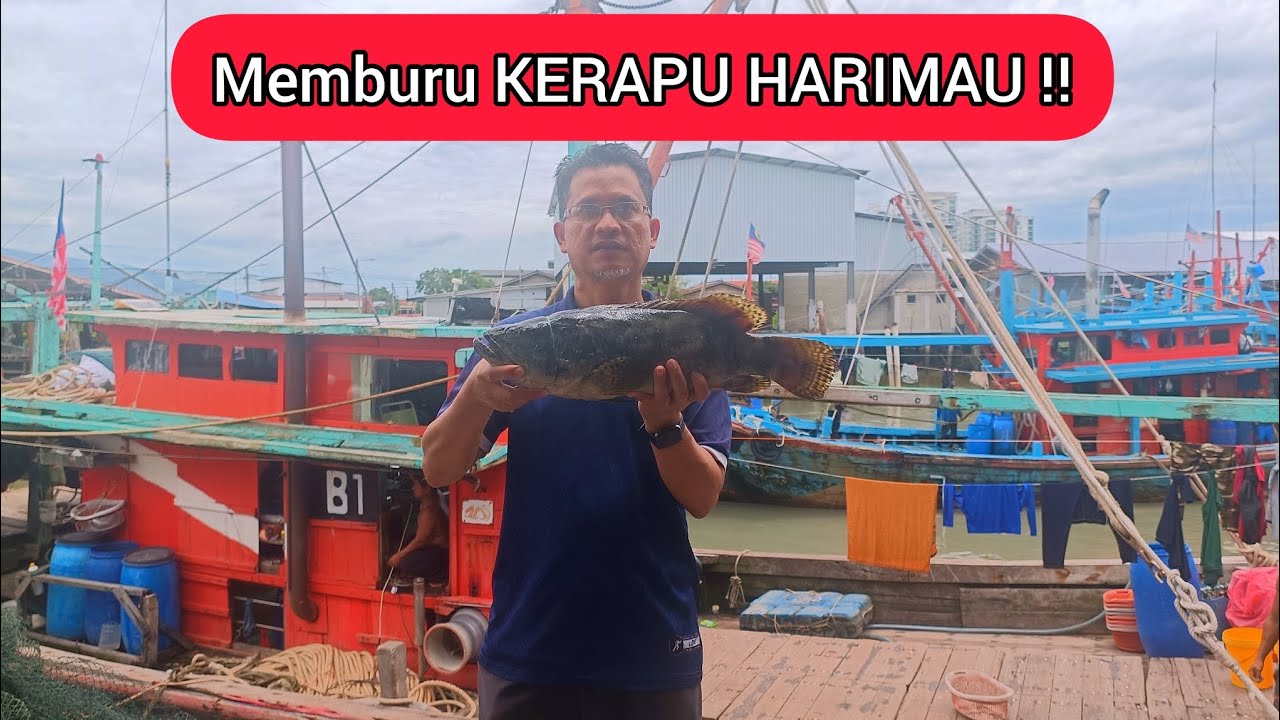 LAUK FRESH @ SEKINCHAN‼️JUMPA IKAN RARE‼️