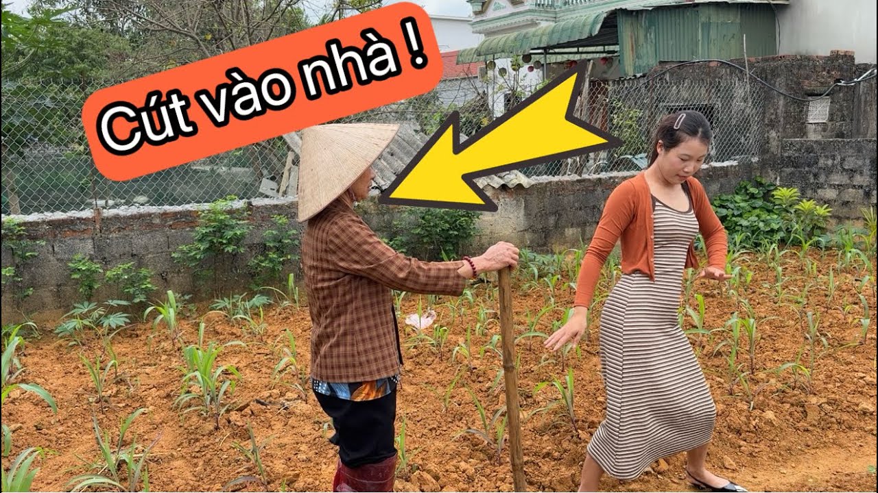 Mẹ Chồng Làm Không Hết Việc Con Dâu Ra Tận Ruộng Tìm Để Nhảy Cho Mẹ Xem ! 