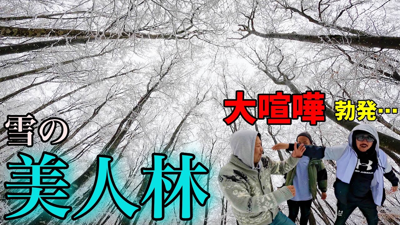 冬の【美人林】も絶景だった！ 仲間割れ喧嘩が勃発… 新潟県十日町市(旧松之山町) This is NIIGATA