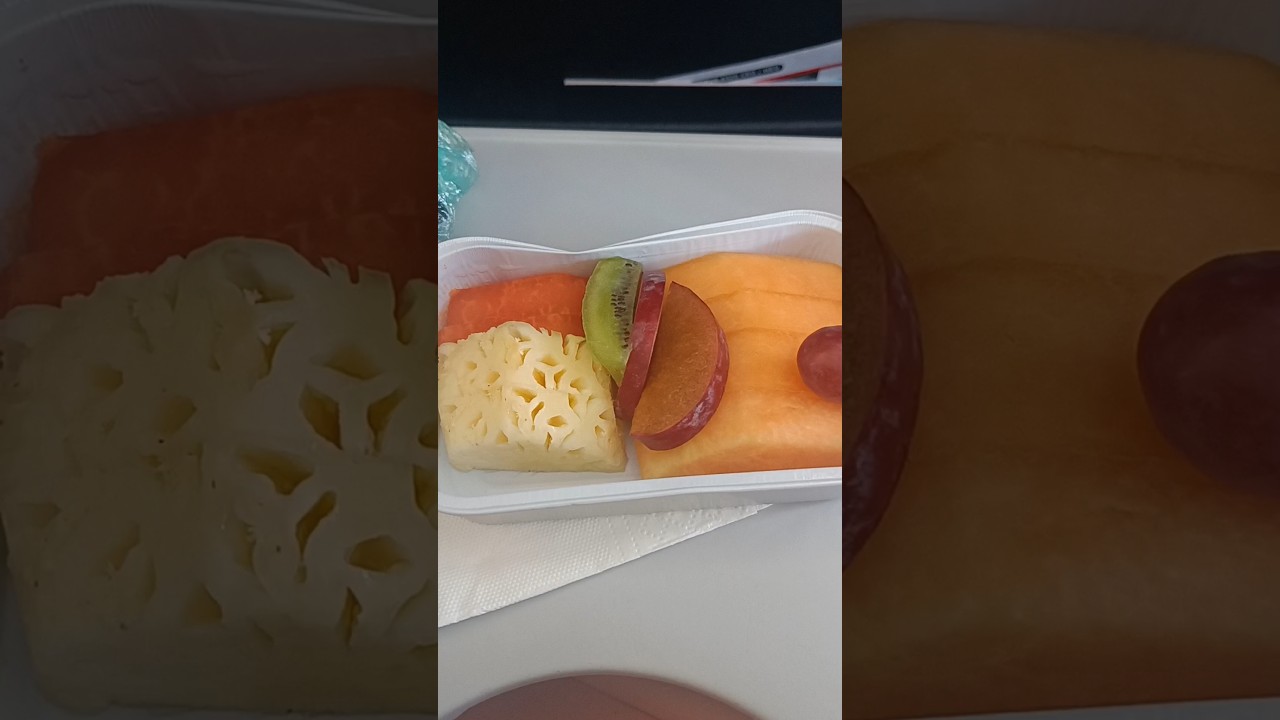 Airindia flight food 😋 #food #air india flight #air india flight food #air india food #airport food