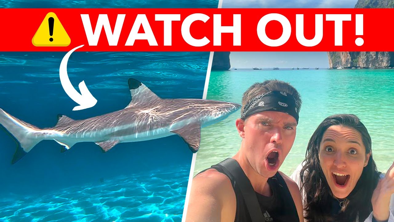 SWIMMING WITH SHARKS on this Koh Phi Phi Island Boat Tour + Snorkeling!
