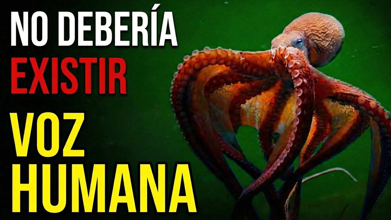 El Secreto del Pulpo - A  Solo 3 Años de Dominar el Planeta (Documental Completo en 4K)