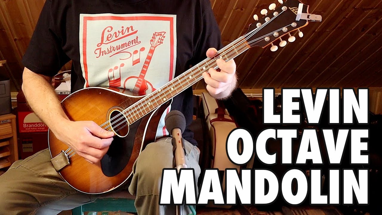 LEVIN Octave Mandolin + Parlor Guitar + Slide Guitar